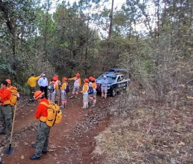 Refuerzan prevenci&oacute;n de incendios con brechas cortafuego en Teopisca