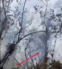 Incendio consume m&aacute;s de 45 hect&aacute;reas de bosque 