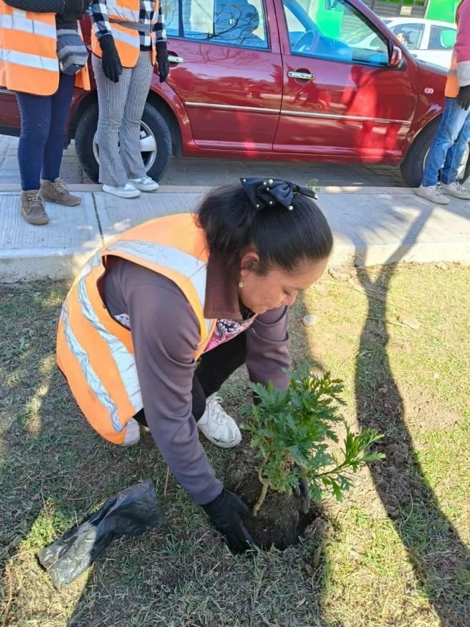 Gobierno Municipal refuerza embellecimiento de parques y jardines en San Cristóbal