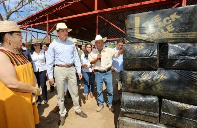 Sembrando Vida, proyecto visionario y humano que garantizará un mejor futuro: Rutilio Escandón