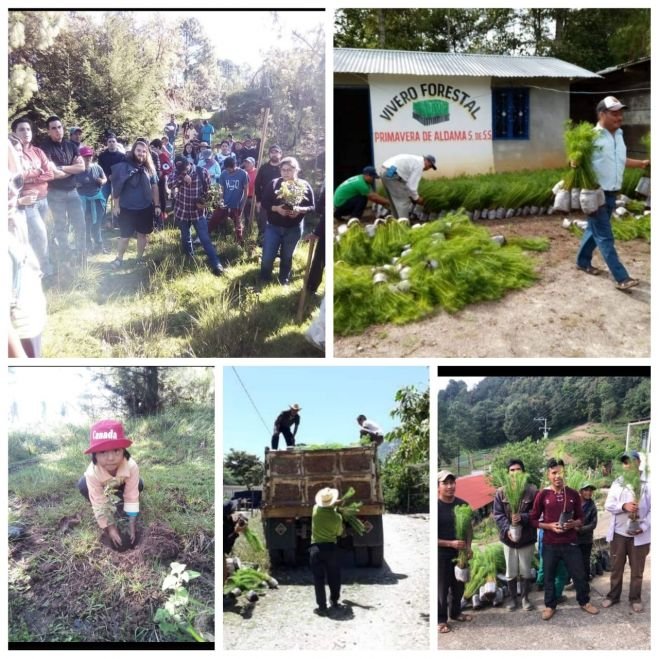 Crisis de agua obliga a indígenas y campesinos sumarse a la reforestación