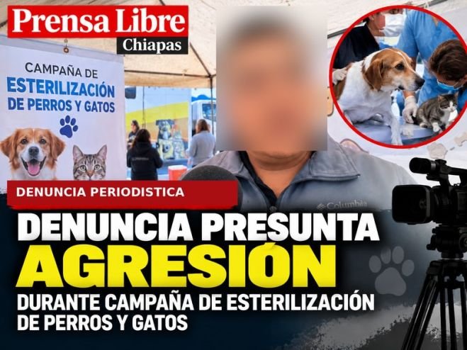 Ilustraci&oacute;n sobre la denuncia del periodista Hiram Guzm&aacute;n por una presunta agresi&oacute;n durante campa&ntilde;a de esterilizaci&oacute;n de perros y gatos en Chiapas.
