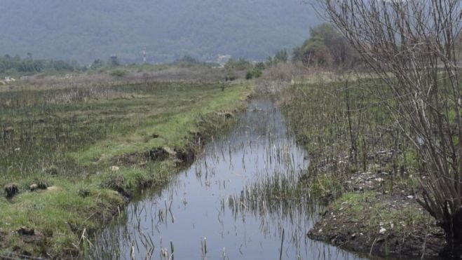 AMBIENTALISTAS INTERPONEN DENUNCIAS POR INVASIONES