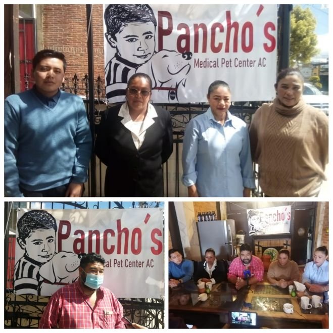 Crean Asociaci&oacute;n de ayuda para perros en San Crist&oacute;bal