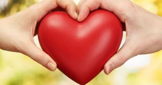 Honremos los v&iacute;nculos afectivos   en este d&iacute;a del amor y la amistad 