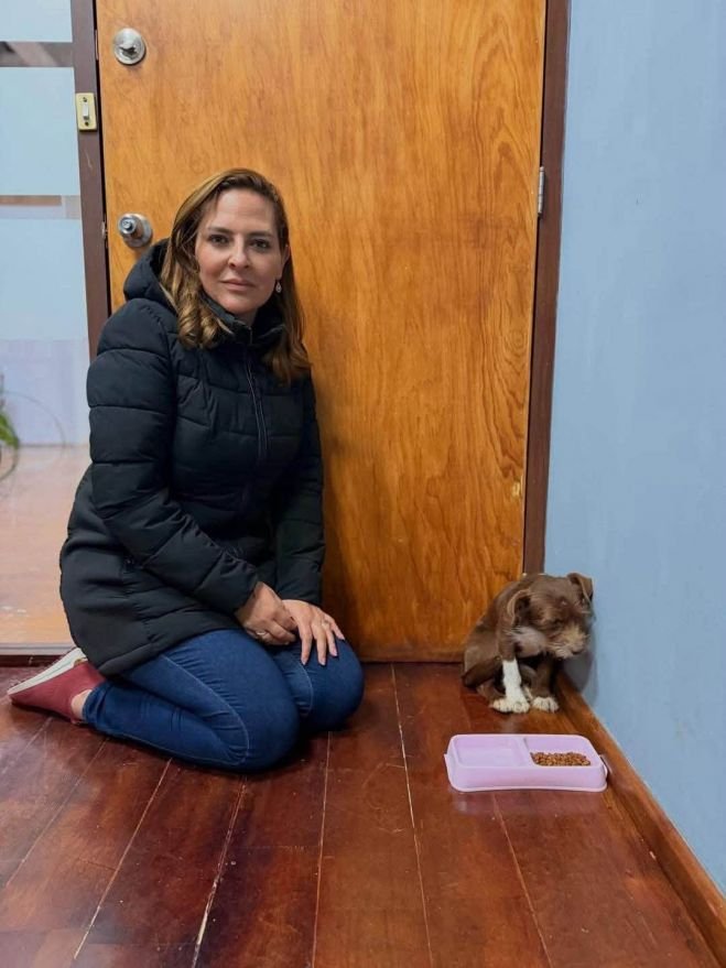 El cachorro presenta mucho miedo debido a la violencia que habría sufrido